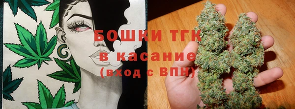 гидра Осинники