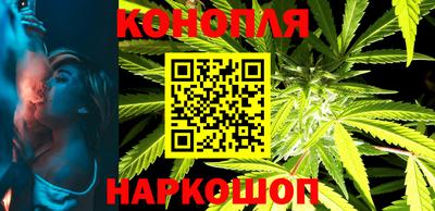 сатива Обнинск