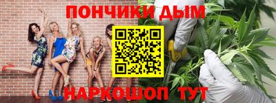 индика Обь