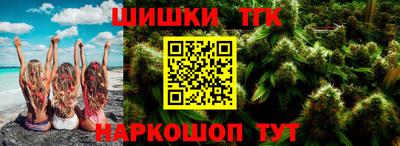 индика Обь