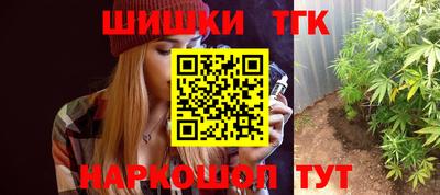 индика Обь