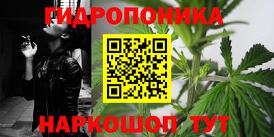 индика Обь