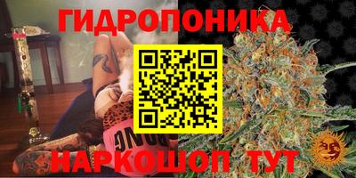 сатива Обнинск