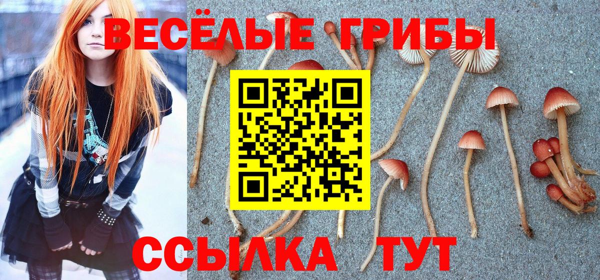 Псилоцибиновые грибы Psilocybine cubensis Туапсе