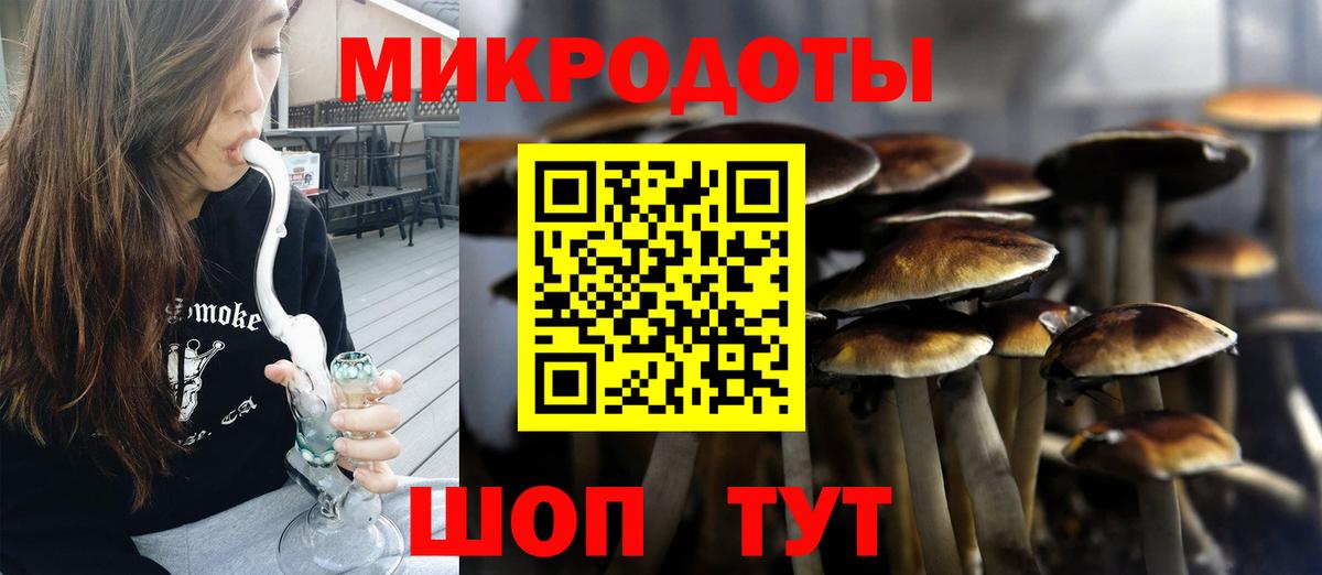 Туапсе  где продают наркотики  Вход с VPN  Псилоцибиновые грибы Psilocybe  Псилоцибиновые грибы Psilocybine cubensis 